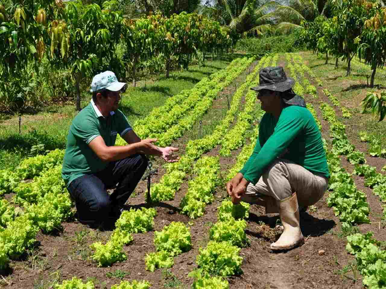 inscrições no Programa Agente Rural