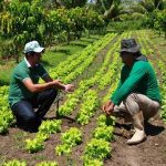 Inscrições no Programa Agente Rural: como fazer